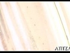 セクシーなおっぱい