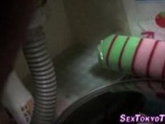 毛むくじゃらのアジアンラビングボックス