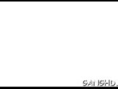 多肉植物の採取