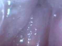 HDビデオでお尻と猫のカメラ付きアジア人のベイビー