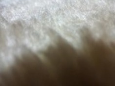 JPNセクシーマイ妻