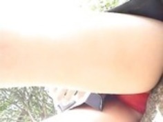 ラジオコントロールpanchira I