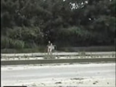 日本のビデオ屋外014