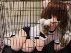 cocoasoft japaneseボンデージの息吹きキグルミボンデージwsm_mikeneko_cage