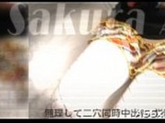 かわいいオリエンタルのDp