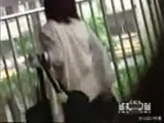 06190509 lowshark63a