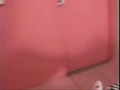 エアロライナーによる日本語ピギーテイスト