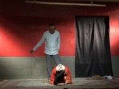 シバリイロハシズキ