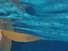 スレンダーな巨乳美女のイメージ無料エロ動画！【美女動画】