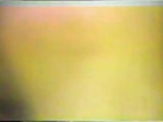 JPNのヴィンテージ