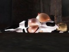 Hucowクララ再アップロード