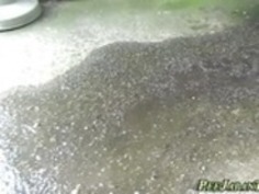 アジアの女の子は、小便を急ぎます