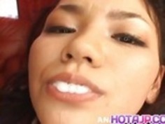 楓人形はビーバーは、こすりました