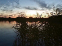 オランダの熟女は、屋外輪姦点滅し、ドッギング