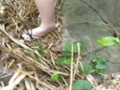 桃瀬えみる - 森