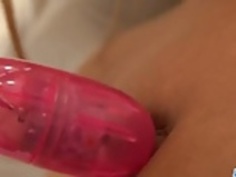 見事、ゆシラスは、シャワーの下で猫と遊びます