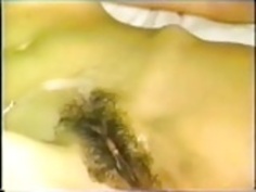 日本のヴィンテージのぞみ西條