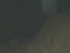 siitake2で18日本語amateur9 - 1fuckdate.comからBettyann