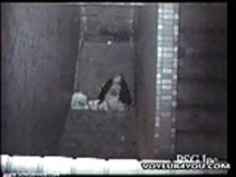 建物の陰で夜の屋外セックス