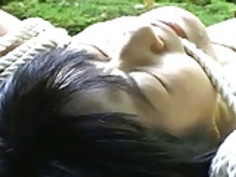 Candling a Japanese M Outside