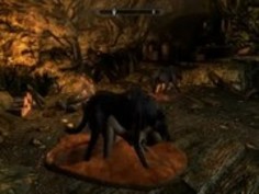 2角質ウルフスVS二眠っ冒険者