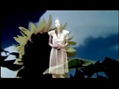 ヒルクライムによってSyunkasyutou