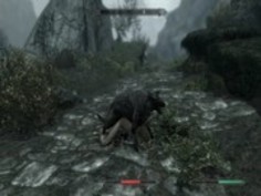 盗賊の束によって捕獲