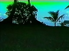 JPNヴィンテージ72