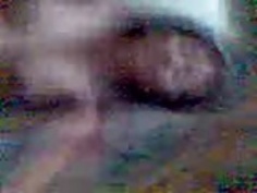 マレーisteri STIM