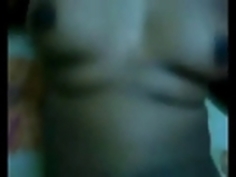 マイベンガルセックスカップル