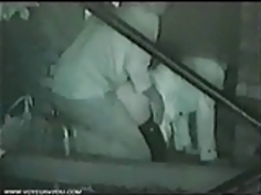 公共の公園で日本のカップルのクソ