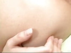 美しい萌え猫がピンクで演奏