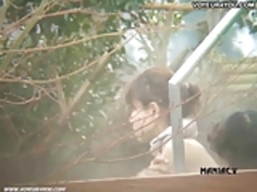 クローズアップ写真のバスプール