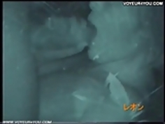 車ショットのセックスシーン