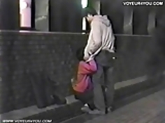 赤外線盗撮野外セックス版