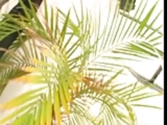 JAPAN新しいスタイル:)）