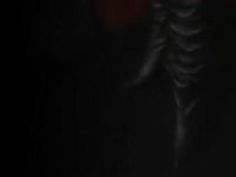 マッサージ 口内射精 乳首 乳首責め 口内