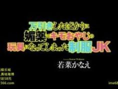 万引き キモ 万引 複数 おやじ