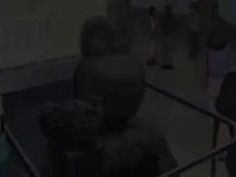 エロアニメ チャ ファン 男 秘密