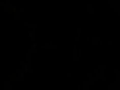 無修正 フェラ フェラ抜き 射精 お掃除フェラ