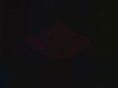 手コキ 淫語 ベロチュー 射精 キス