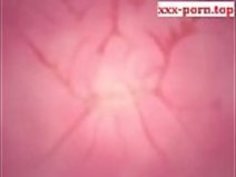 アニメ3Dファンタジー -