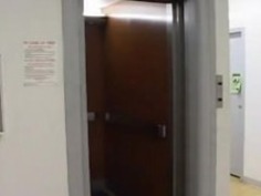 彼女は誰ですか？