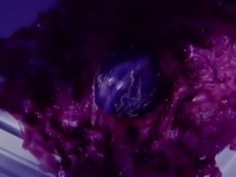 ひとみとカリーナとの乳酸菌