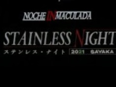 ステンレスナイト02