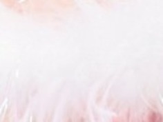 噴霧美しい日本の売春婦兼