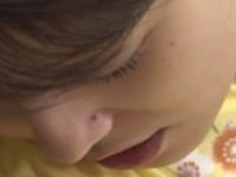 日本の猫は砲撃します