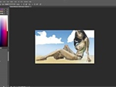 ビーチピンナップ