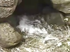 JPNのソフトコア