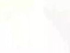 ギャル 明日花キララ 痴女 不倫 こっそり